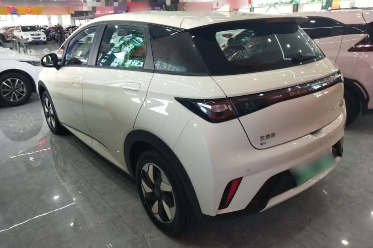 Used BYD Dolphin 2025 420km Free Edition Rear Left 45 Deg