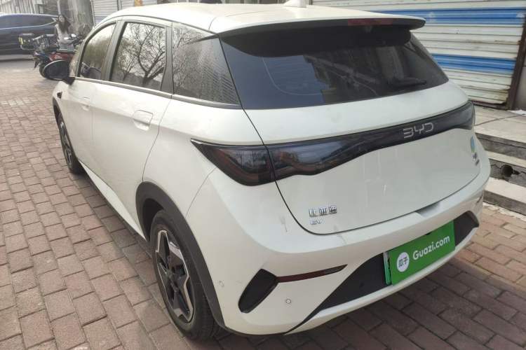 Used BYD Dolphin 2025 Smart Drive Version 420 km Freedom Edition Rear Left 45 Deg