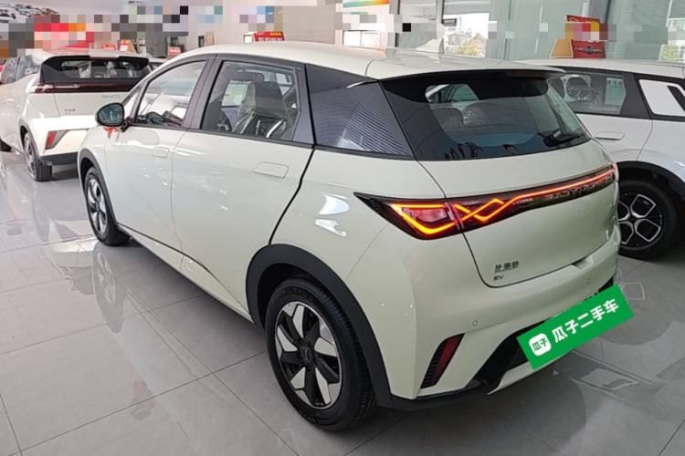 Used BYD Dolphin 2025 420km Free Edition Rear Left 45 Deg