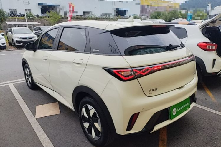 Used BYD Dolphin 2025 420km Free Edition Rear Left 45 Deg