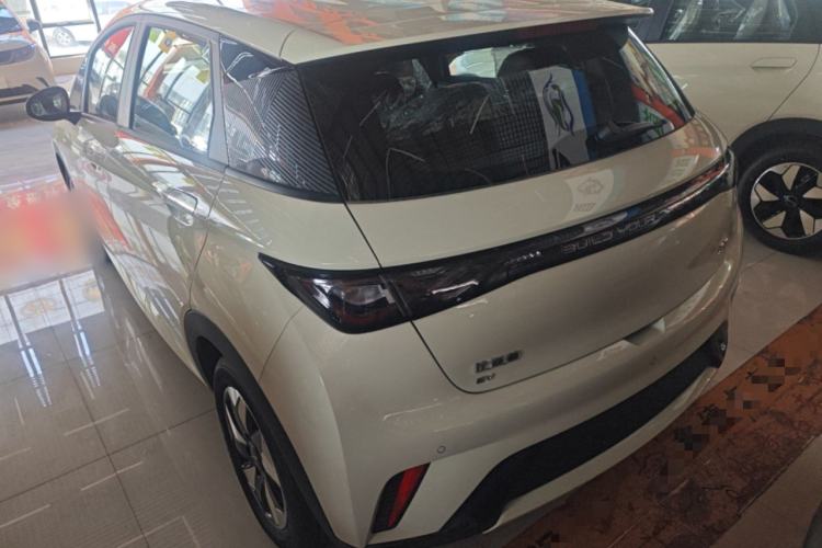 Used BYD Dolphin 2025 420km Free Edition Rear Left 45 Deg