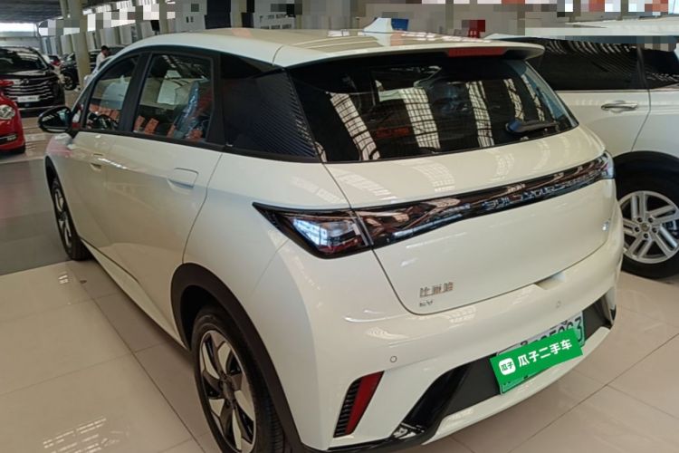 Used BYD Dolphin 2025 420km Free Edition Rear Left 45 Deg