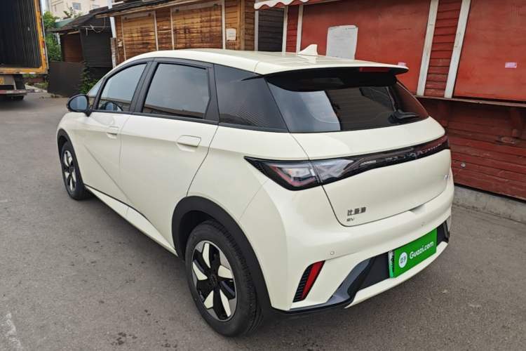Used BYD Dolphin 2025 420km Free Edition Rear Left 45 Deg