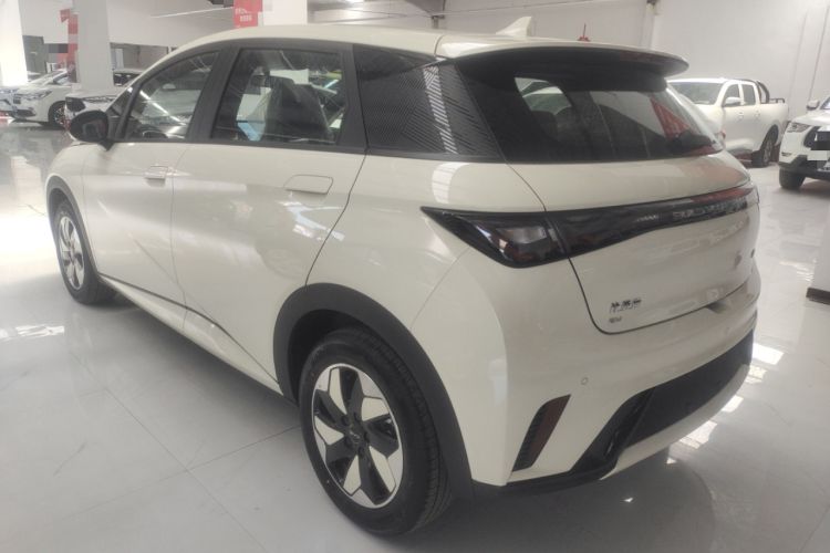 Used BYD Dolphin 2025 420km Free Edition Rear Left 45 Deg