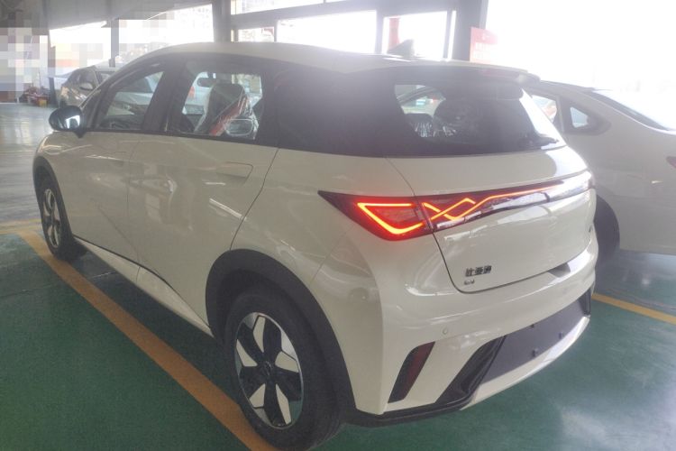 Used BYD Dolphin 2025 420km Free Edition Rear Left 45 Deg