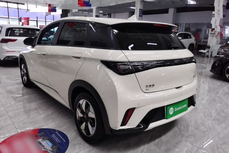 Used BYD Dolphin 2025 420km Fashion Edition Rear Left 45 Deg