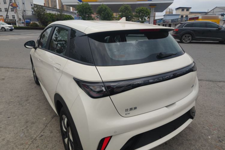 Used BYD Dolphin 2025 420km Free Edition Rear Left 45 Deg