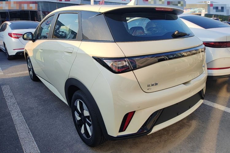 Used BYD Dolphin 2025 420km Free Edition Rear Left 45 Deg