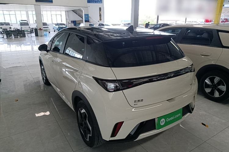 Used BYD Dolphin 2025 420km Active Version Rear Left 45 Deg