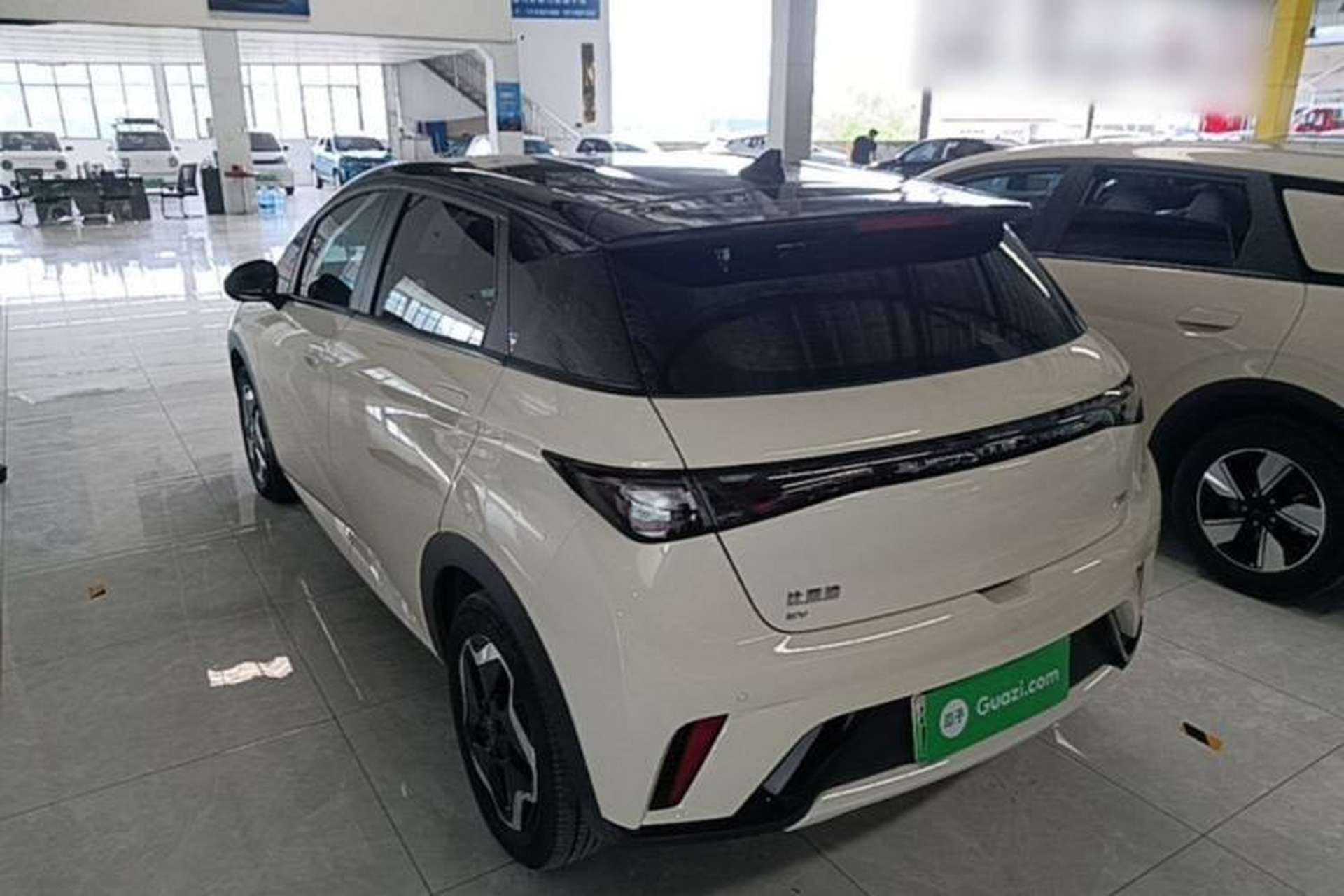 Used BYD Dolphin 2025 420km Active Version Rear Left 45 Deg