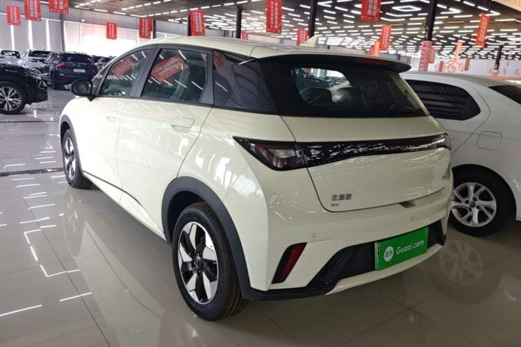 Used BYD Dolphin 2025 420km Free Edition Rear Left 45 Deg