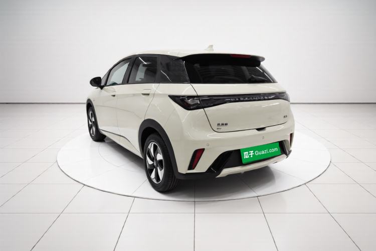 Used BYD Dolphin 2025 420km Free Edition Rear Left 45 Deg