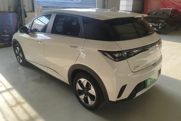 Used BYD Dolphin 2025 420km Free Edition Rear Left 45 Deg
