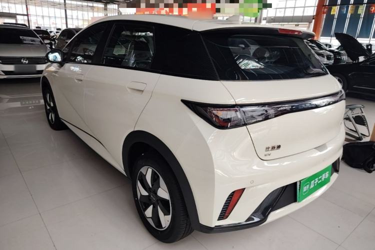 Used BYD Dolphin 2025 420km Free Edition Rear Left 45 Deg