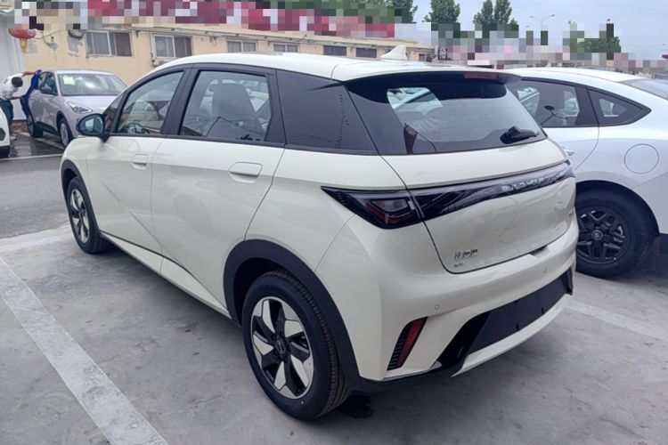 Used BYD Dolphin 2025 420km Free Edition Rear Left 45 Deg