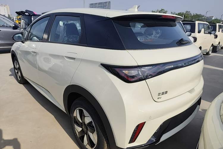 Used BYD Dolphin 2025 420km Free Edition Rear Left 45 Deg