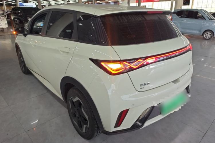 Used BYD Dolphin 2025 420km Active Version Rear Left 45 Deg
