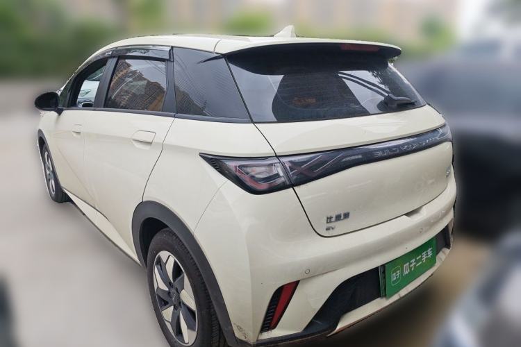 Used BYD Dolphin 2025 420km Free Edition Rear Left 45 Deg