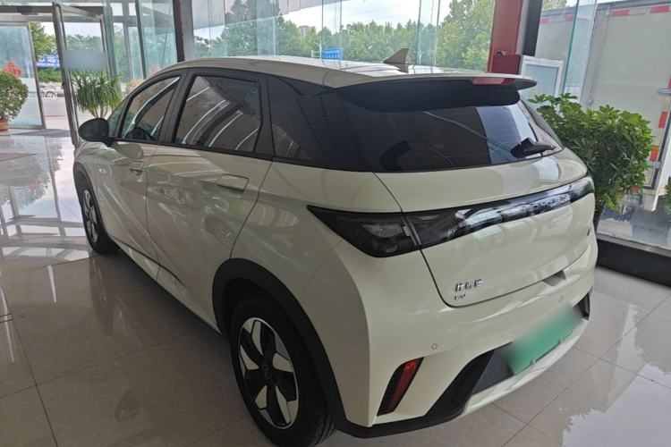 Used BYD Dolphin 2025 420km Free Edition Rear Left 45 Deg