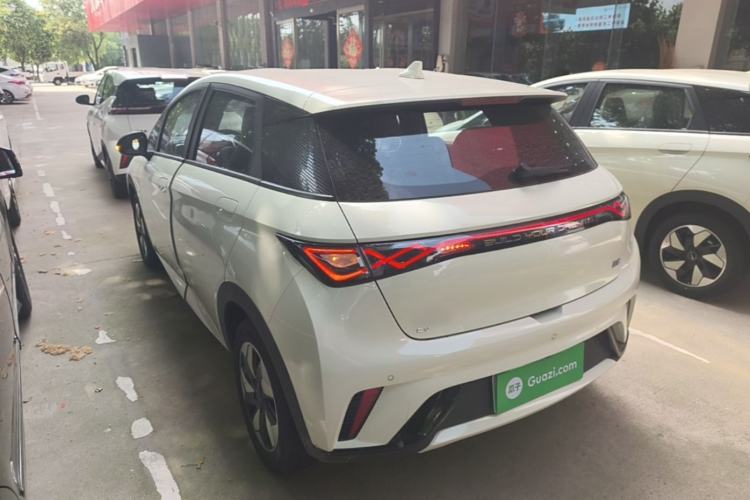 Used BYD Dolphin 2025 420km Free Edition Rear Left 45 Deg