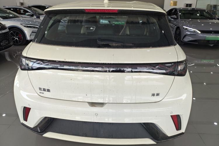 Used BYD Dolphin 2025 420km Free Edition Rear
