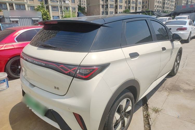 Used BYD Dolphin 2025 420km Free Edition Rear Right 45 Deg