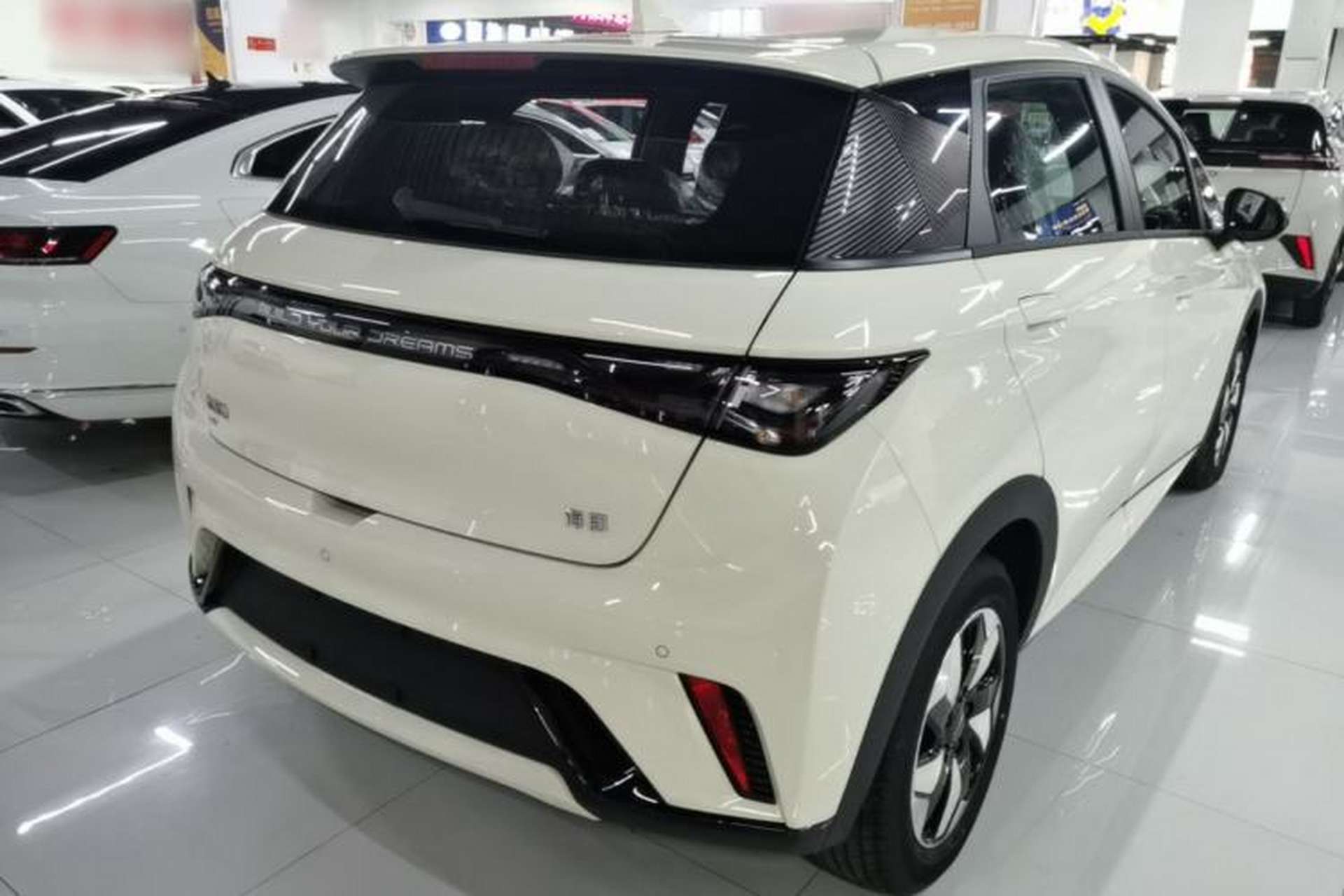Used BYD Dolphin 2025 420km Free Edition Rear Right 45 Deg
