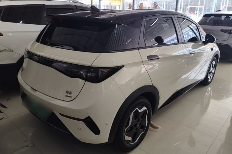 Used BYD Dolphin 2025 Smart Drive Version 420 km Freedom Edition Rear Right 45 Deg