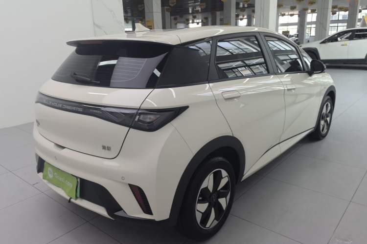 Used BYD Dolphin 2025 420km Free Edition Rear Right 45 Deg