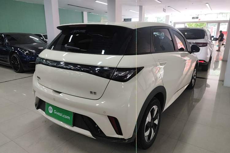 Used BYD Dolphin 2025 420km Free Edition Rear Right 45 Deg