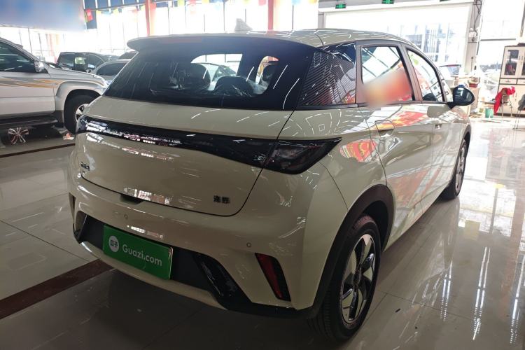 Used BYD Dolphin 2025 420km Free Edition Rear Right 45 Deg