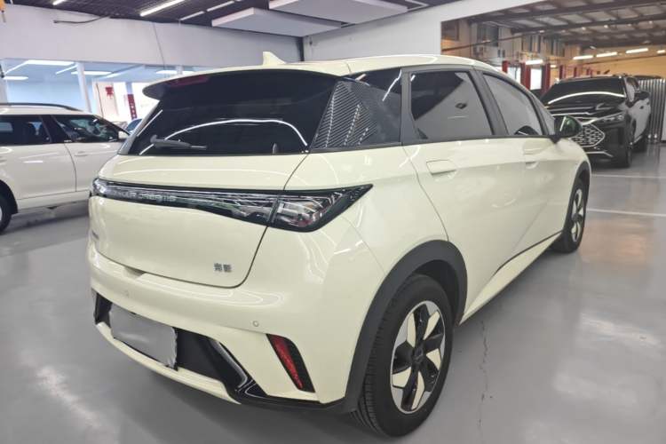 Used BYD Dolphin 2025 420km Free Edition Rear Right 45 Deg