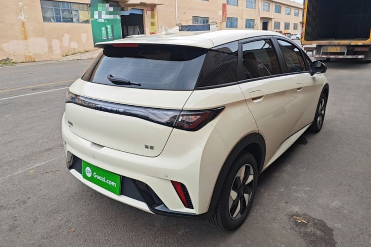 Used BYD Dolphin 2025 420km Free Edition Rear Right 45 Deg