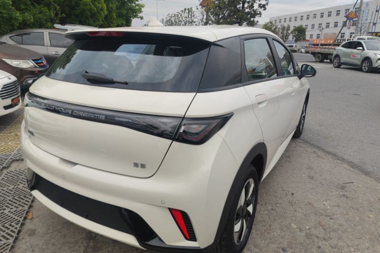 Used BYD Dolphin 2025 420km Free Edition Rear Right 45 Deg