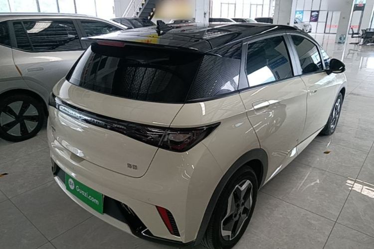 Used BYD Dolphin 2025 420km Active Version Rear Right 45 Deg