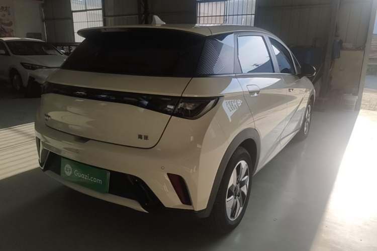 Used BYD Dolphin 2025 420km Free Edition Rear Right 45 Deg