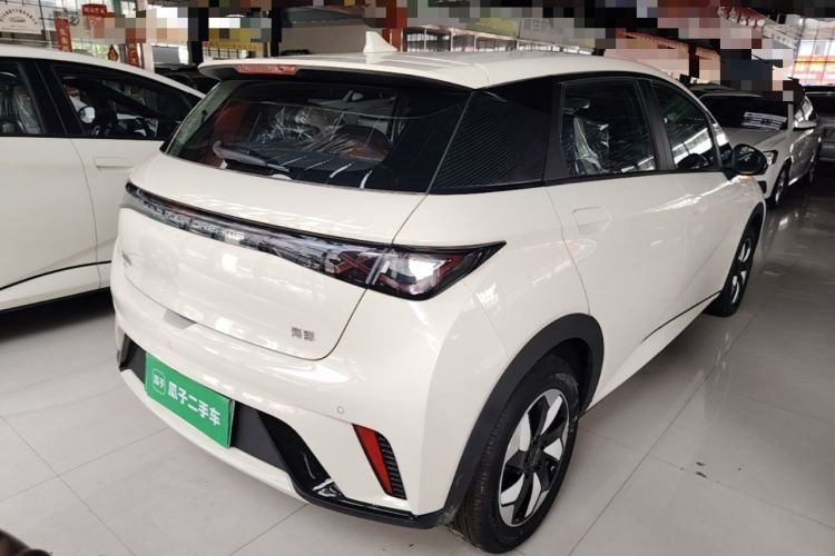 Used BYD Dolphin 2025 420km Free Edition Rear Right 45 Deg