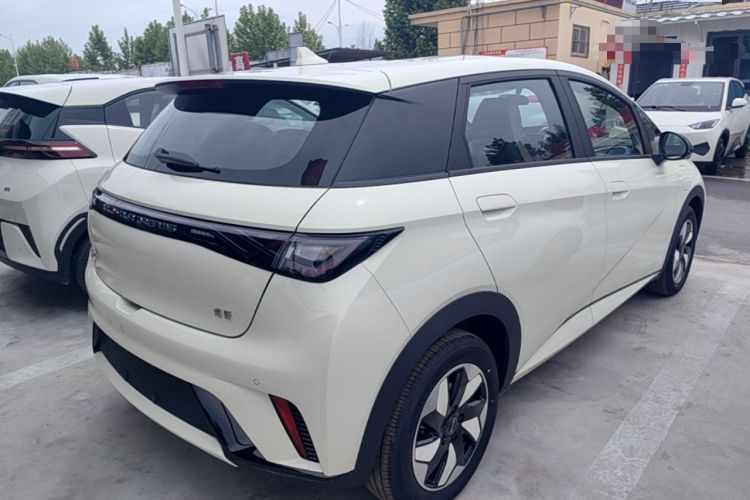 Used BYD Dolphin 2025 420km Free Edition Rear Right 45 Deg