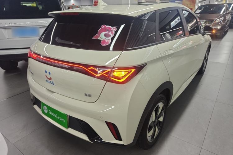 Used BYD Dolphin 2025 420km Fashion Edition Rear Right 45 Deg
