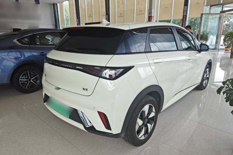Used BYD Dolphin 2025 420km Free Edition Rear Right 45 Deg