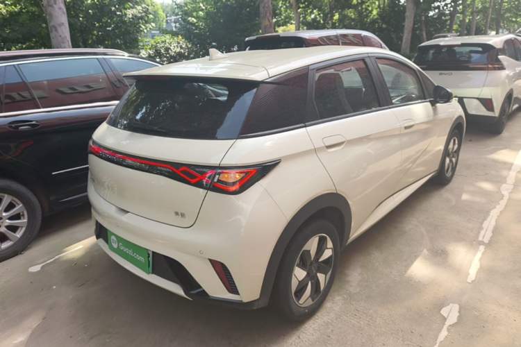 Used BYD Dolphin 2025 420km Free Edition Rear Right 45 Deg