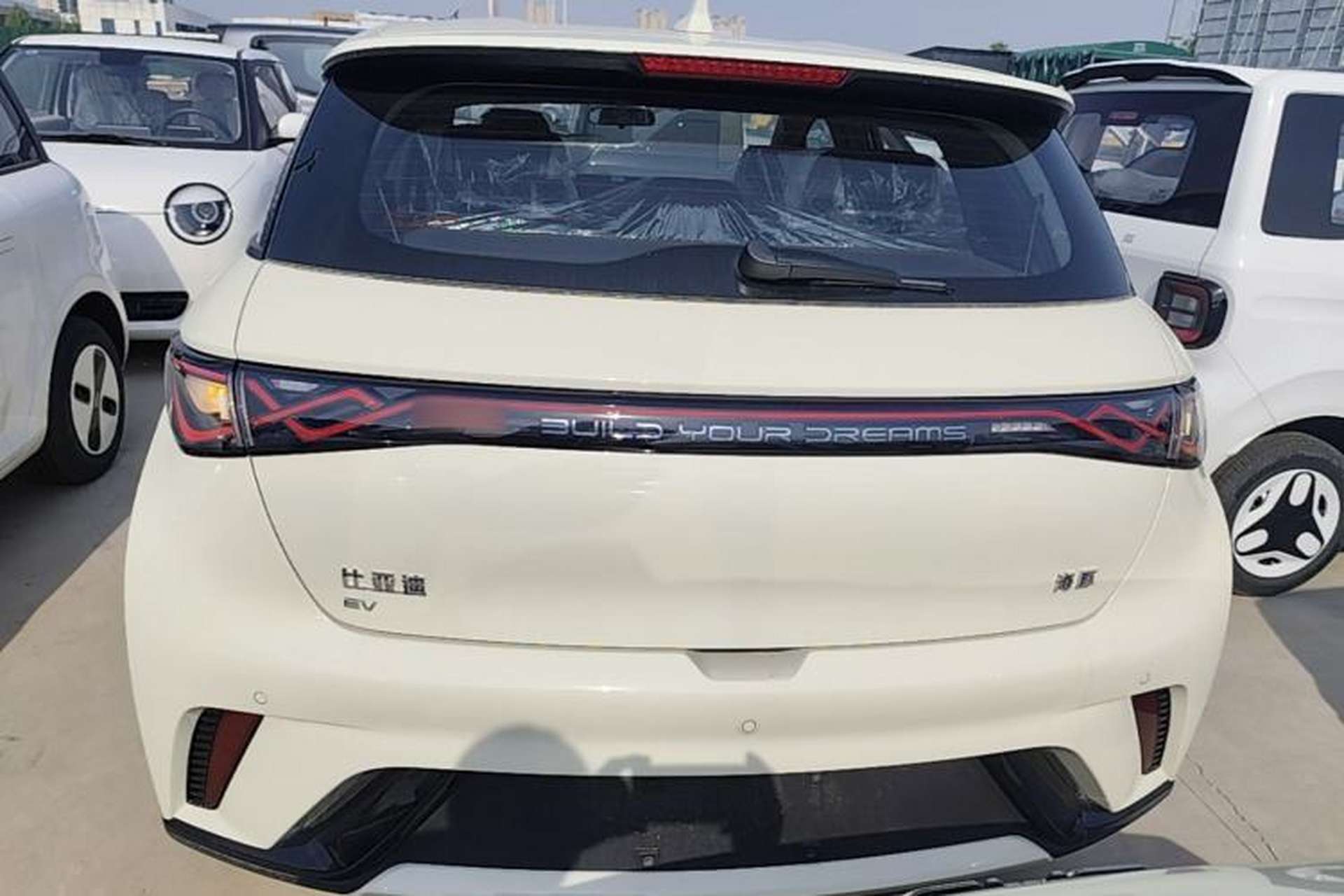 Used BYD Dolphin 2025 420km Free Edition Rear
