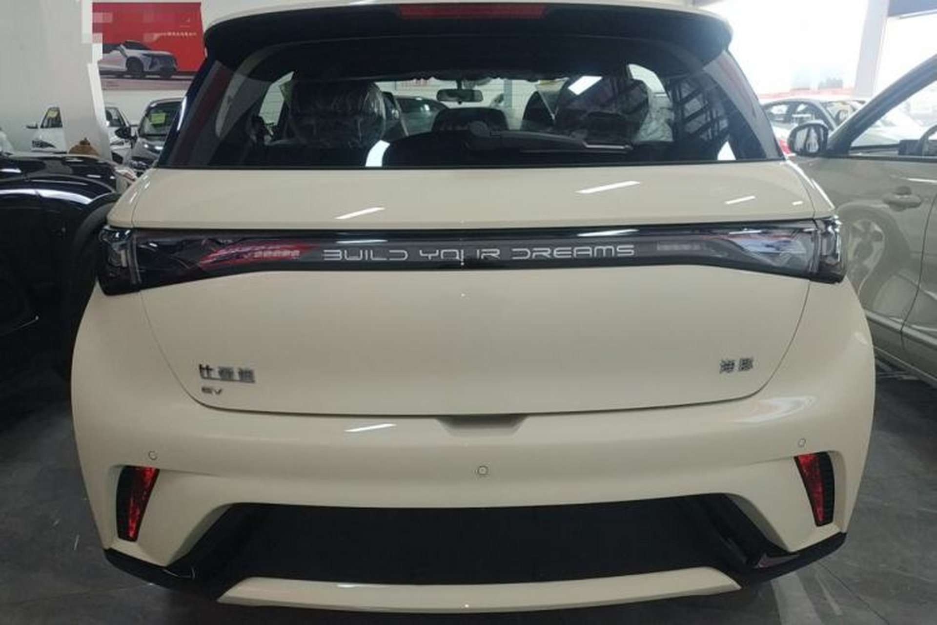 Used BYD Dolphin 2025 420km Free Edition Rear