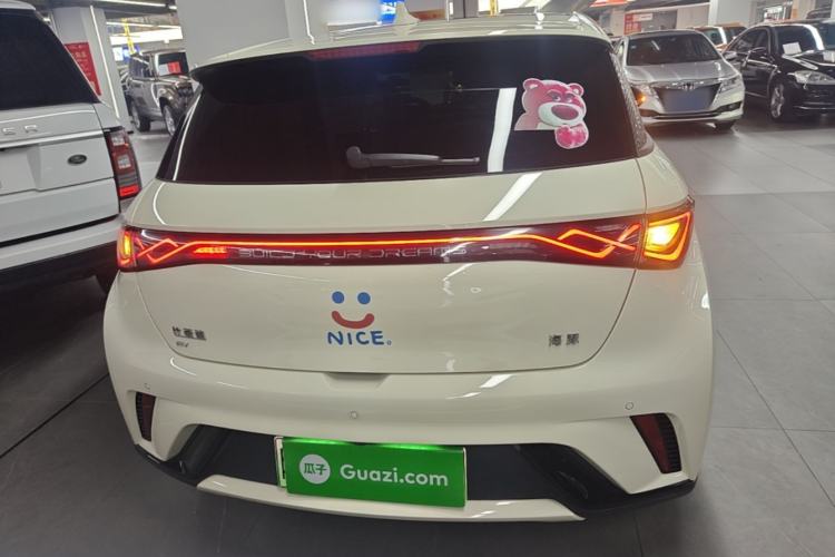 Used BYD Dolphin 2025 420km Fashion Edition Rear