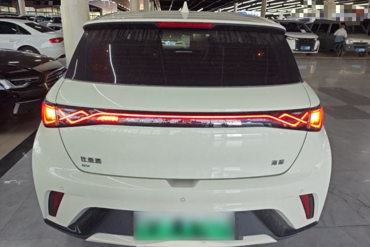 Used BYD Dolphin 2025 420km Active Version Rear
