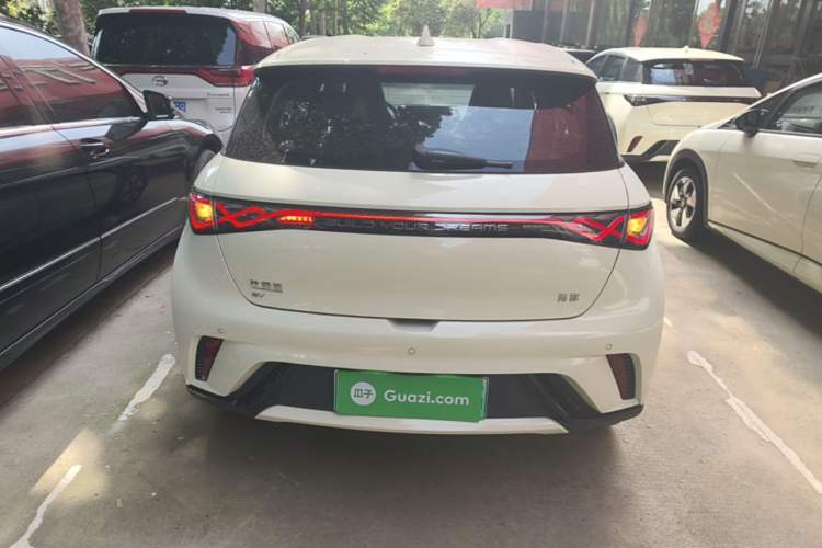 Used BYD Dolphin 2025 420km Free Edition Rear