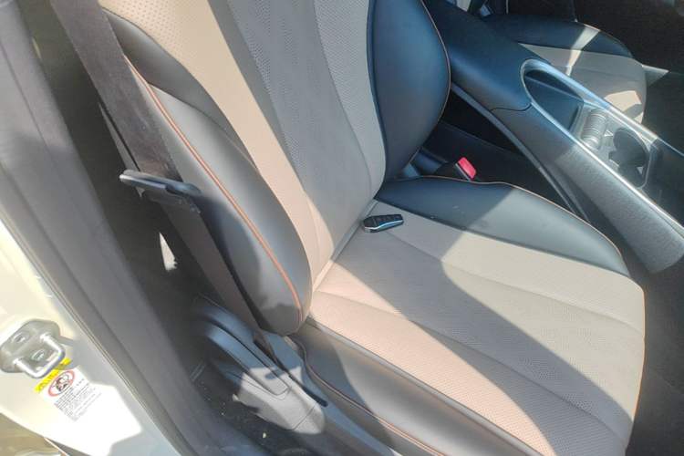 Used BYD Dolphin 2025 420km Free Edition Right Front Seat