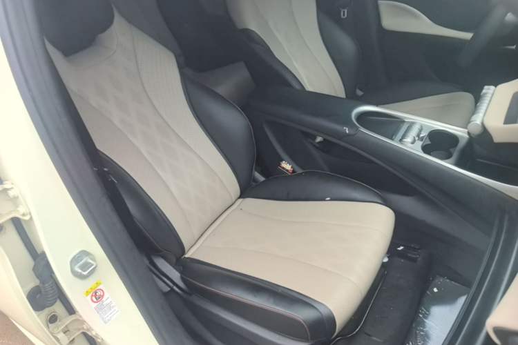 Used BYD Dolphin 2025 420km Active Version Right Front Seat
