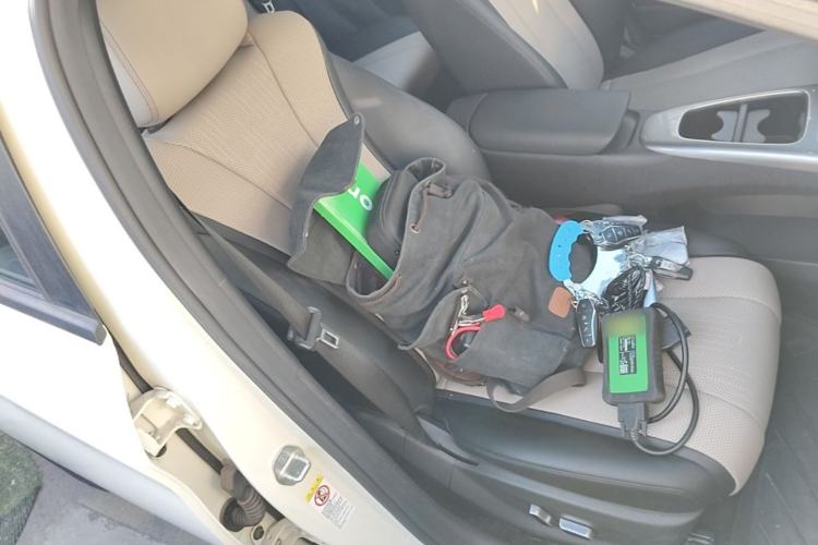 Used BYD Dolphin 2025 Intelligent Driving Version 410 km Fashion Edition Right Front Seat