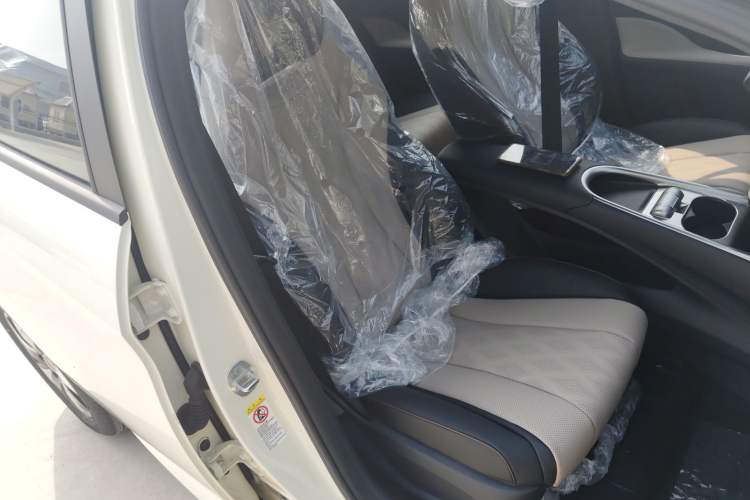 Used BYD Dolphin 2025 420km Free Edition Right Front Seat